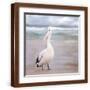 Brown Frame