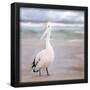 Essential Black