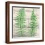 Brown Frame