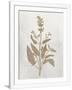 Gramercy White