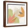 Brown Frame