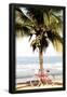 Essential Black