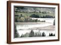 Brown Frame