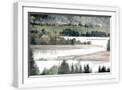 White Frame