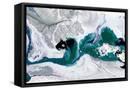 Canvas Black