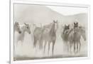 Gramercy White