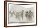 Brown Frame