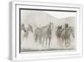 White Frame