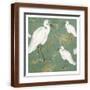 Brown Frame