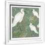 Gramercy White