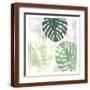 Brown Frame