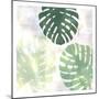Wood Mount