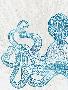 Just the Print