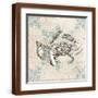 Brown Frame