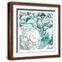 Brown Frame