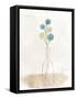Framed Canvas