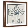 Brown Frame