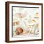 Brown Frame
