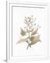 Gramercy White
