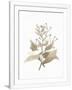Gramercy White