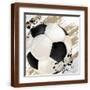 Brown Frame