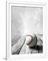 Gramercy White