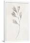 Gramercy White