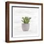 Brown Frame
