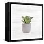 Canvas Black