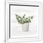 Gramercy White