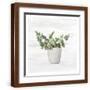 Brown Frame