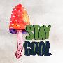 Laminate