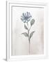 Gramercy White