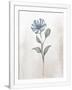 Gramercy White