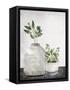Canvas Black