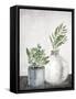 Canvas Black