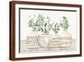 Brown Frame