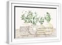 White Frame