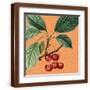 Brown Frame