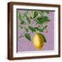 Brown Frame