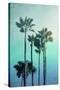 Stretched Canvas