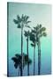 Stretched Canvas