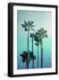 Black Frame