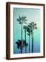 Brown Frame