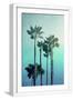 White Frame