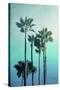 Stretched Canvas