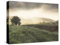 Stretched Canvas