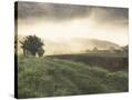 Stretched Canvas
