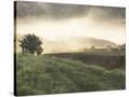 Stretched Canvas
