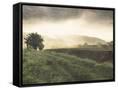 Canvas Black